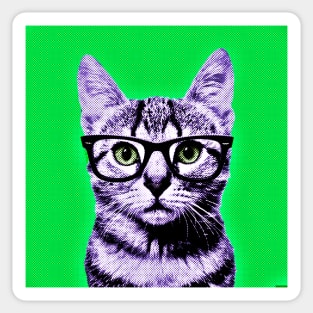 Pop Art Geek Cat in Green Background - Print / Home Decor / Wall Art / Poster / Gift / Birthday / Cat Lover Gift / Animal print Canvas Print Sticker